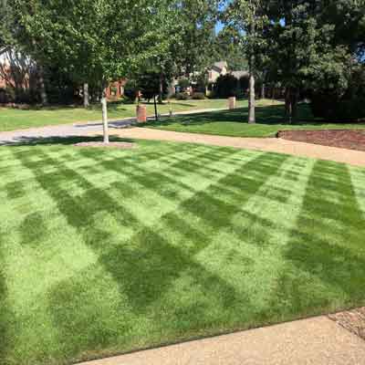 Davenport landscape management quality lawn