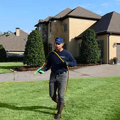 Spraying lawn for weeds