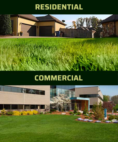 Residential and commercial lawns